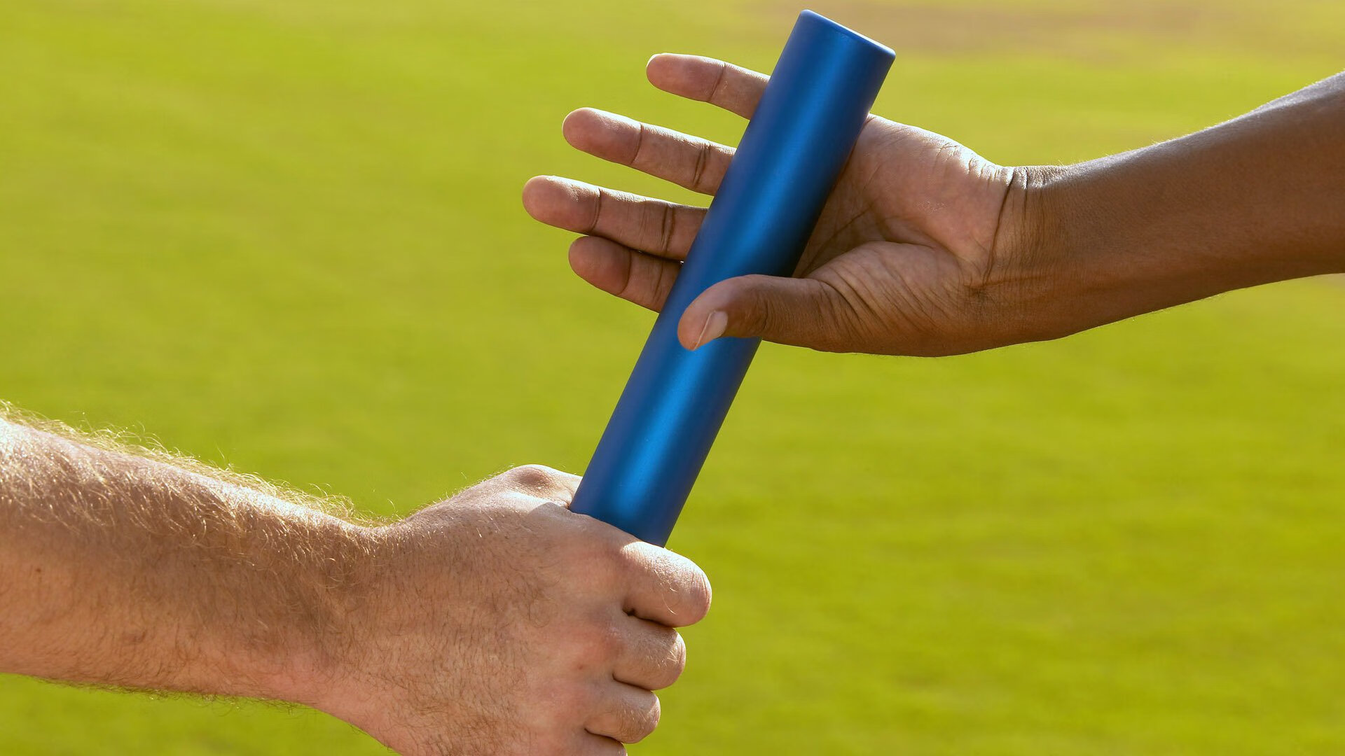 宠物跑步欢乐赛 狗狗与主人一同完赛领取奖牌